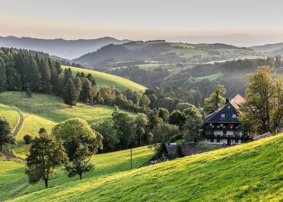 Ferienwohnung Niki Titisee-Neustadt Eksteriør billede