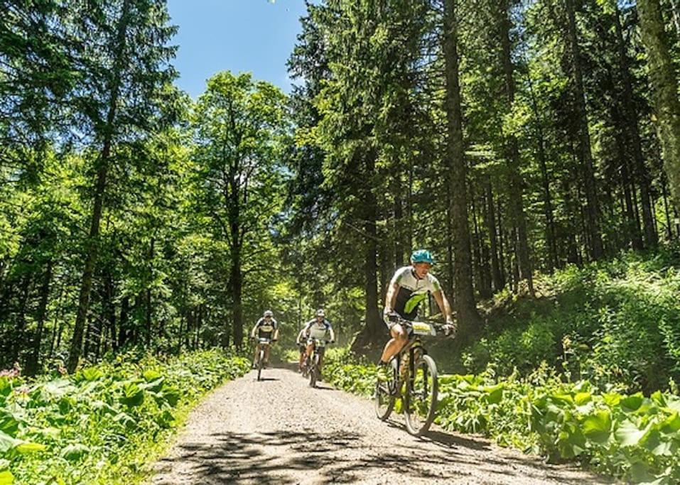 Ferienwohnung Niki Titisee-Neustadt Eksteriør billede