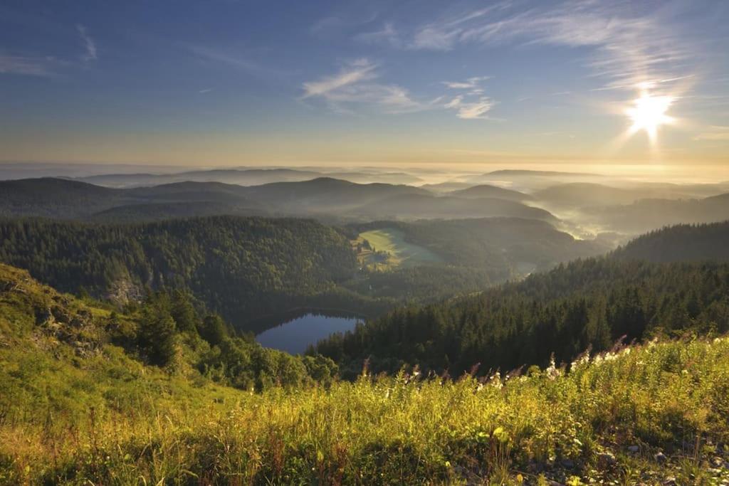 Ferienwohnung Niki Titisee-Neustadt Eksteriør billede