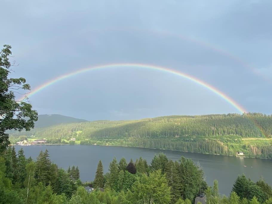 Ferienwohnung Niki Titisee-Neustadt Eksteriør billede