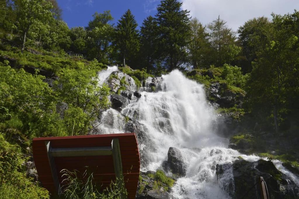 Ferienwohnung Niki Titisee-Neustadt Eksteriør billede