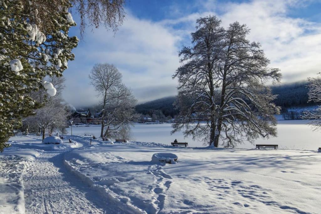 Ferienwohnung Niki Titisee-Neustadt Eksteriør billede